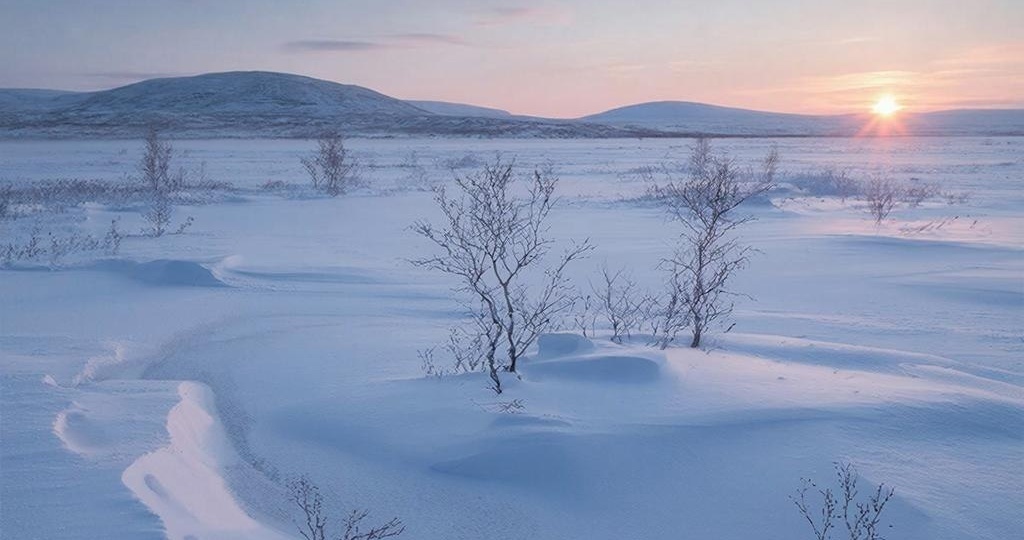 Желаем хорошего вечера