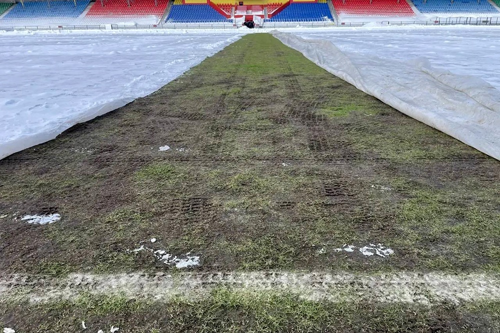    Предоставлено Российским футбольным союзом