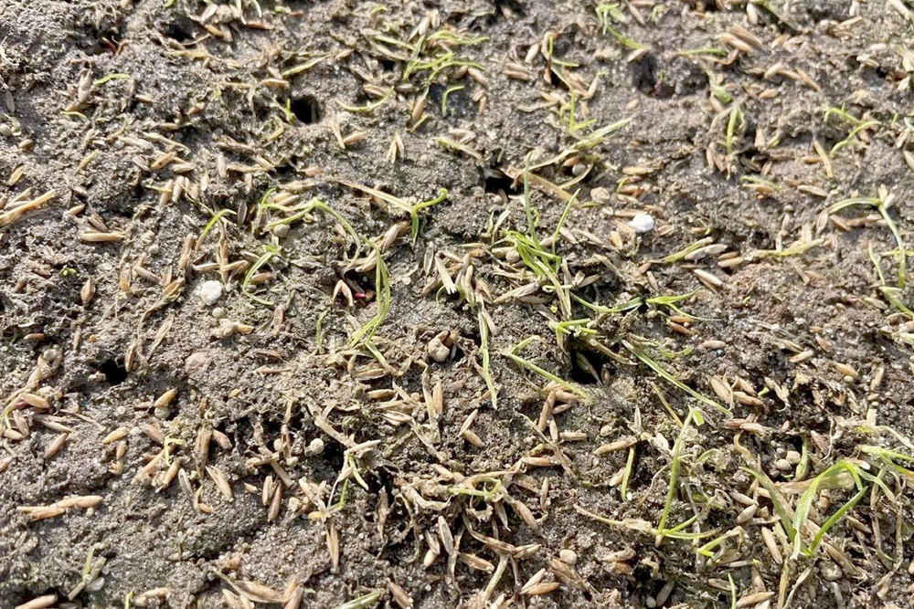     Фото: Предоставлено Российским футбольным союзом