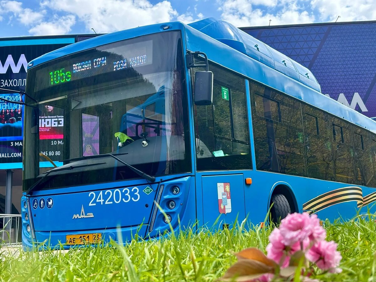 фото: Департамент транспорта и дорожного хозяйства Сочи  📷
