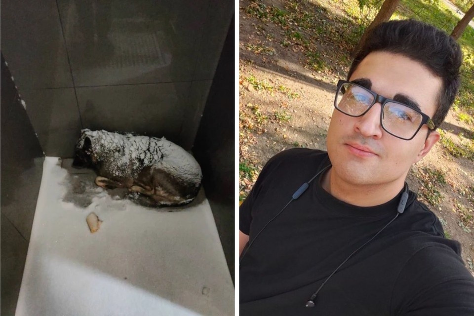    Михаил рассказал об истории Бони и своем увольнении в соцсетях. Теперь его зовут на работу в Ростовскую область. Фото: соцсети Михаила