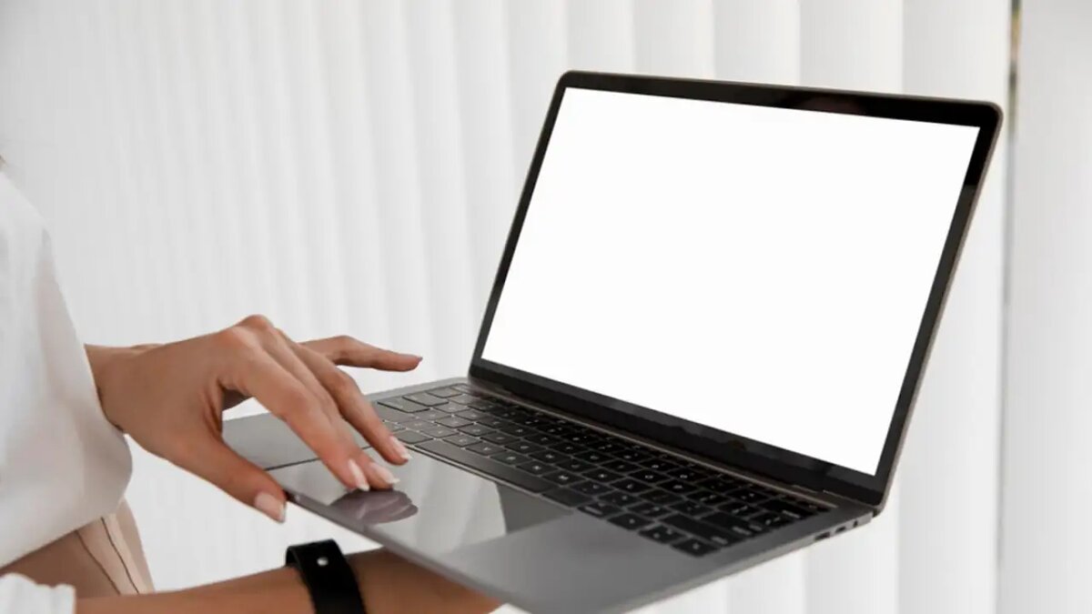    Ноутбук. © freepik.com