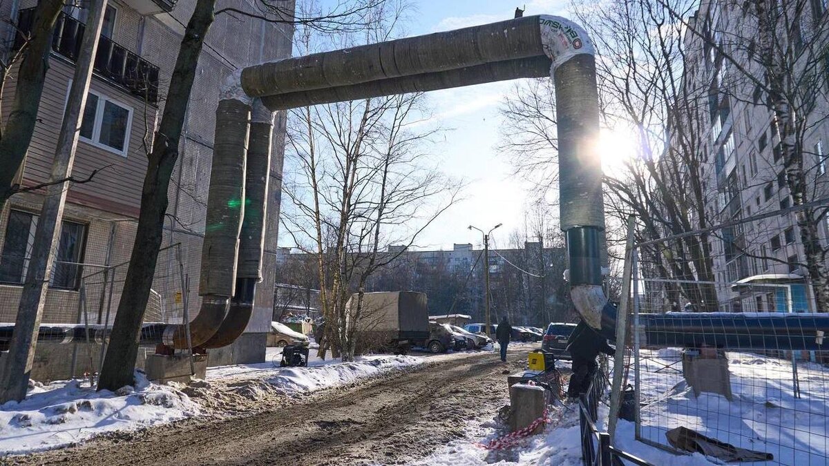    Фото: t.me/keio_spb