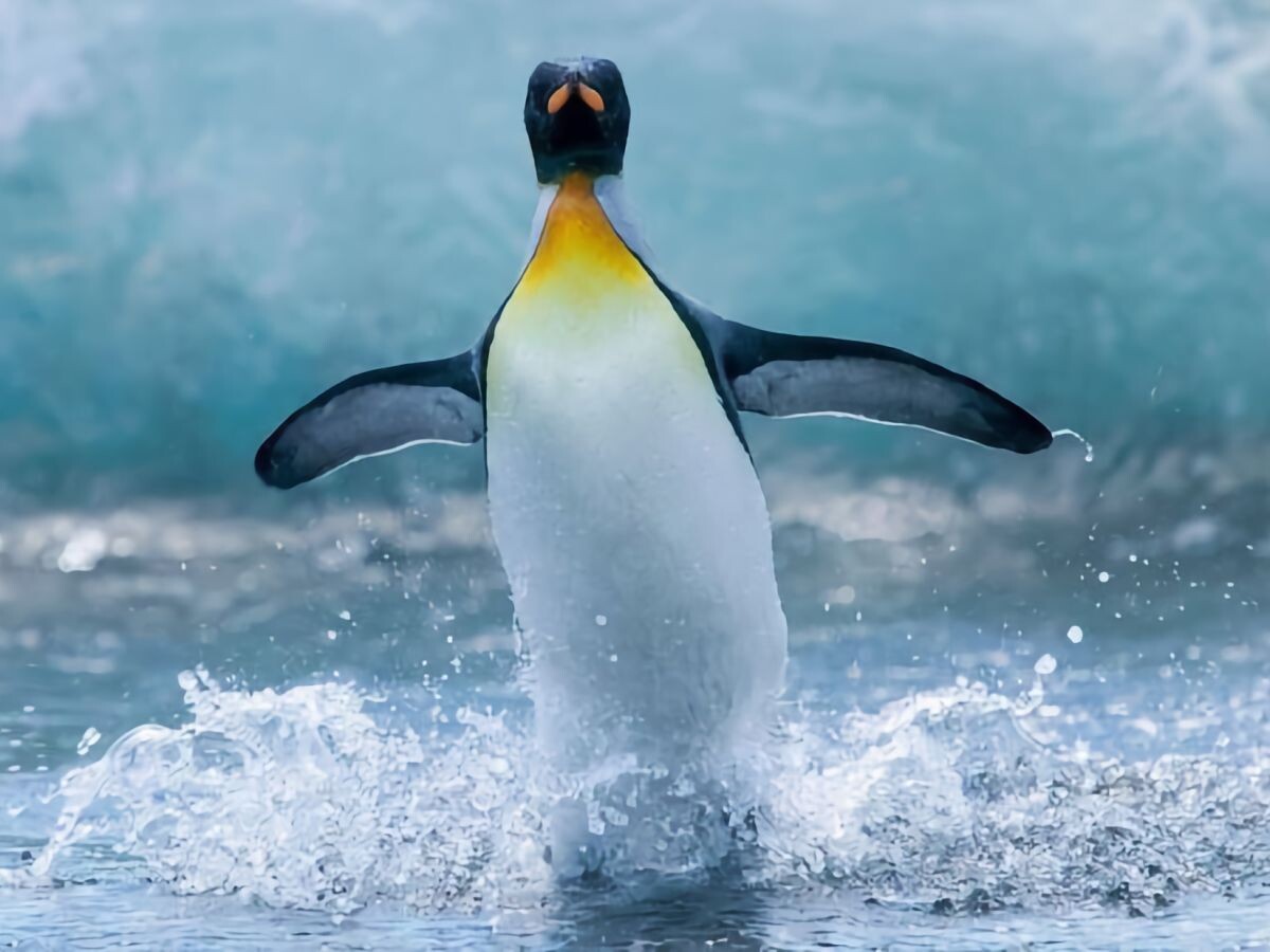    Linux 7.0 заранее подготовили к новым чипам AMD и Intel