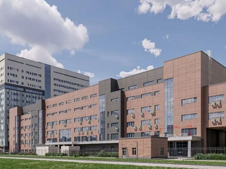     Стационар будет рассчитан на 240 коек с приёмно-диагностическим блоком для взрослых. Фото: пресс-служба комитета по строительству города