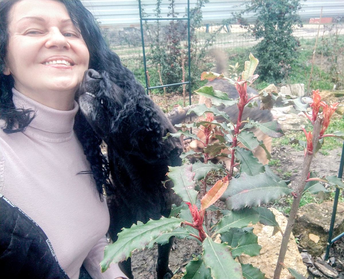 Я около фотинии с красными приростами! Собаку видите? Мой главный цветочек! 