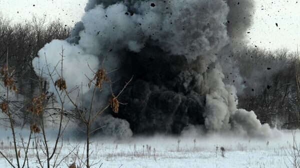    © РИА Новости . Евгений Биятов