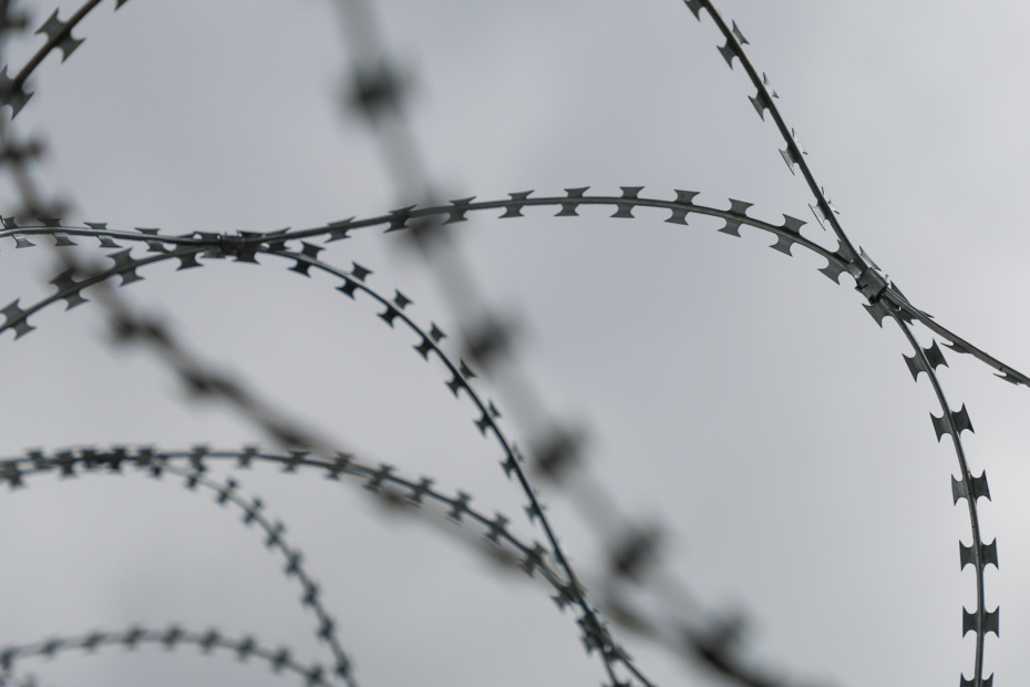    Алексей Белкин/NEWS.ru