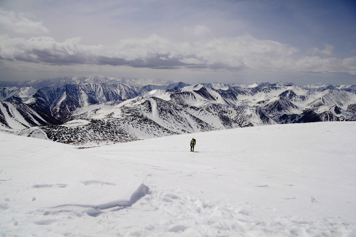 © Tinki Vinki/ shutterstock