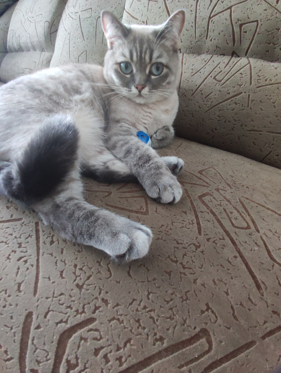 Фото автора 