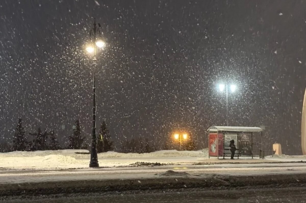    Астрономическая весна придет в Самарскую область вечером 20 марта