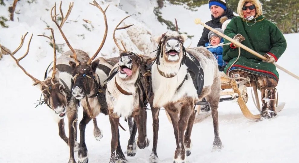 В Пуровском районе скорректировали график проведения традиционного Дня оленевода