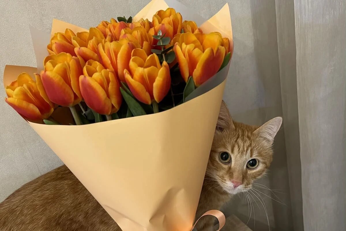 Фото: UfacityNews.ru