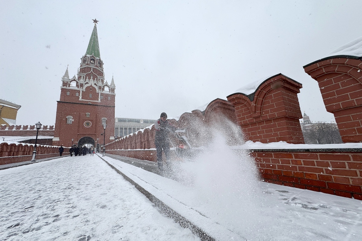   Сергей Михеев/РГ