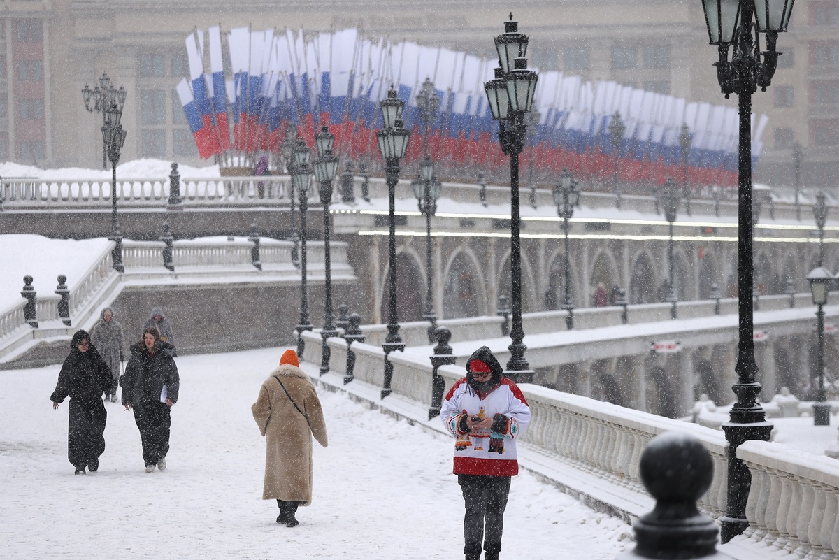    Сергей Михеев/РГ