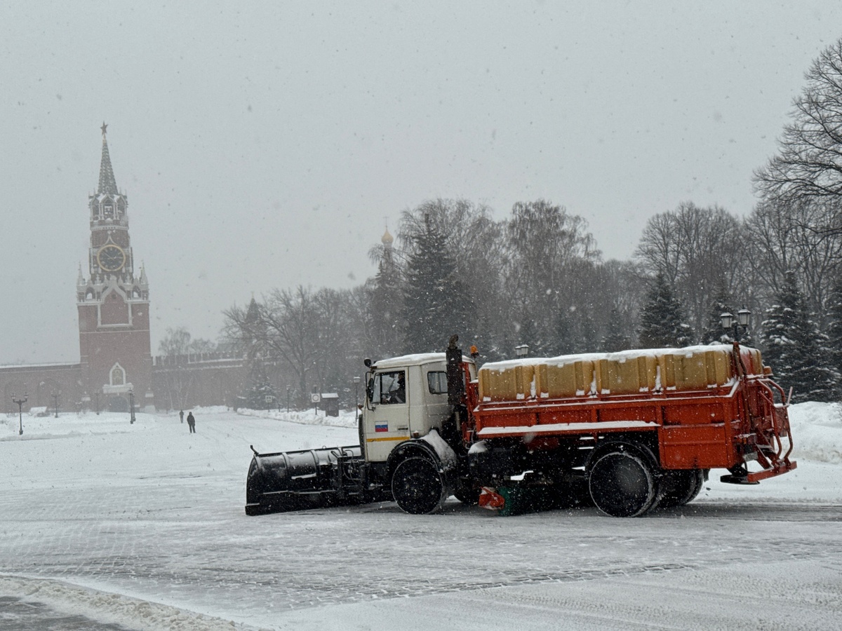    Сергей Михеев/РГ