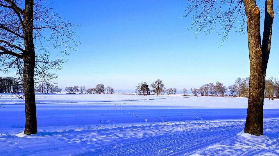Влияет ли это на продолжительность жизни людей?