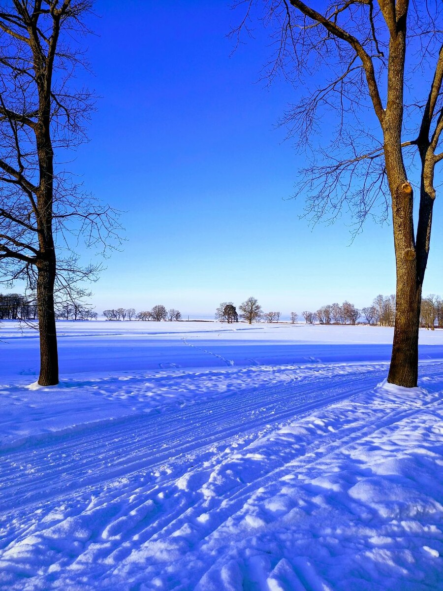 Русская зима. Не перестаю восхищаться!