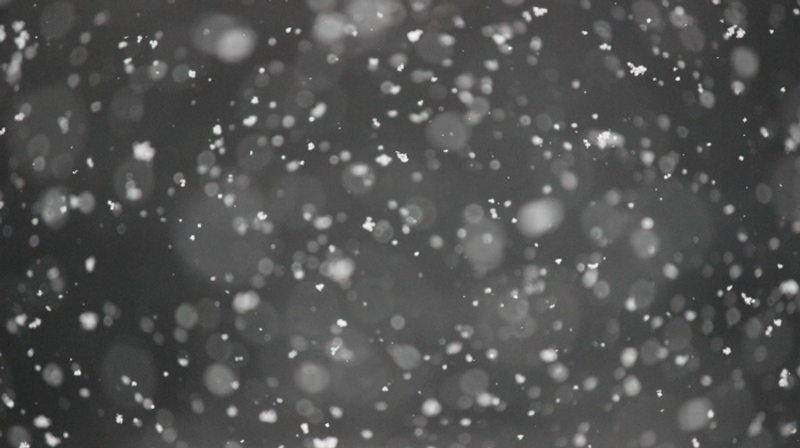     Jessica Fadel/Unsplash