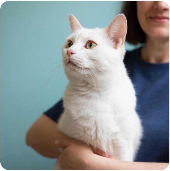 Изображение сгенерировано нейросетями