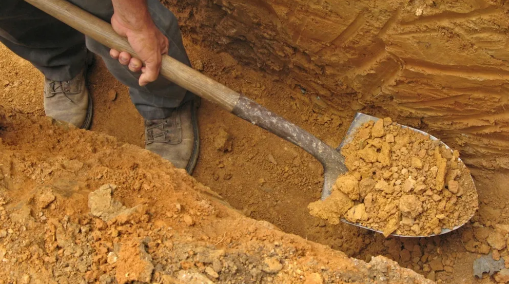    Фото: Christina Richards/Shutterstock/Fotodom