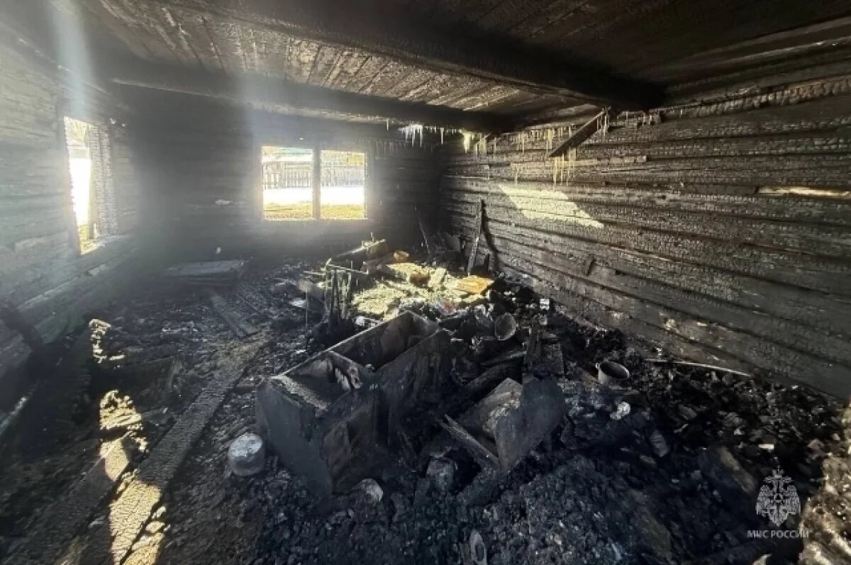    В Новосибирской области за неделю произошло 76 пожаров, есть погибший