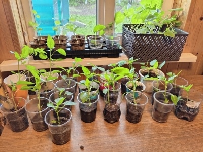     Февраль аҙағында һәм март дауамында нимәләр сәсергә?