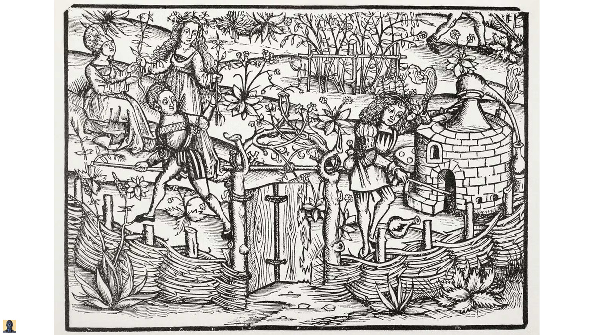 Гравюра, изображающая процесс дистилляции в XVI веке.