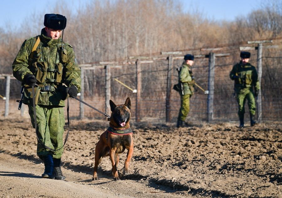     / Источник: © Юрий Смитюк/ТАСС