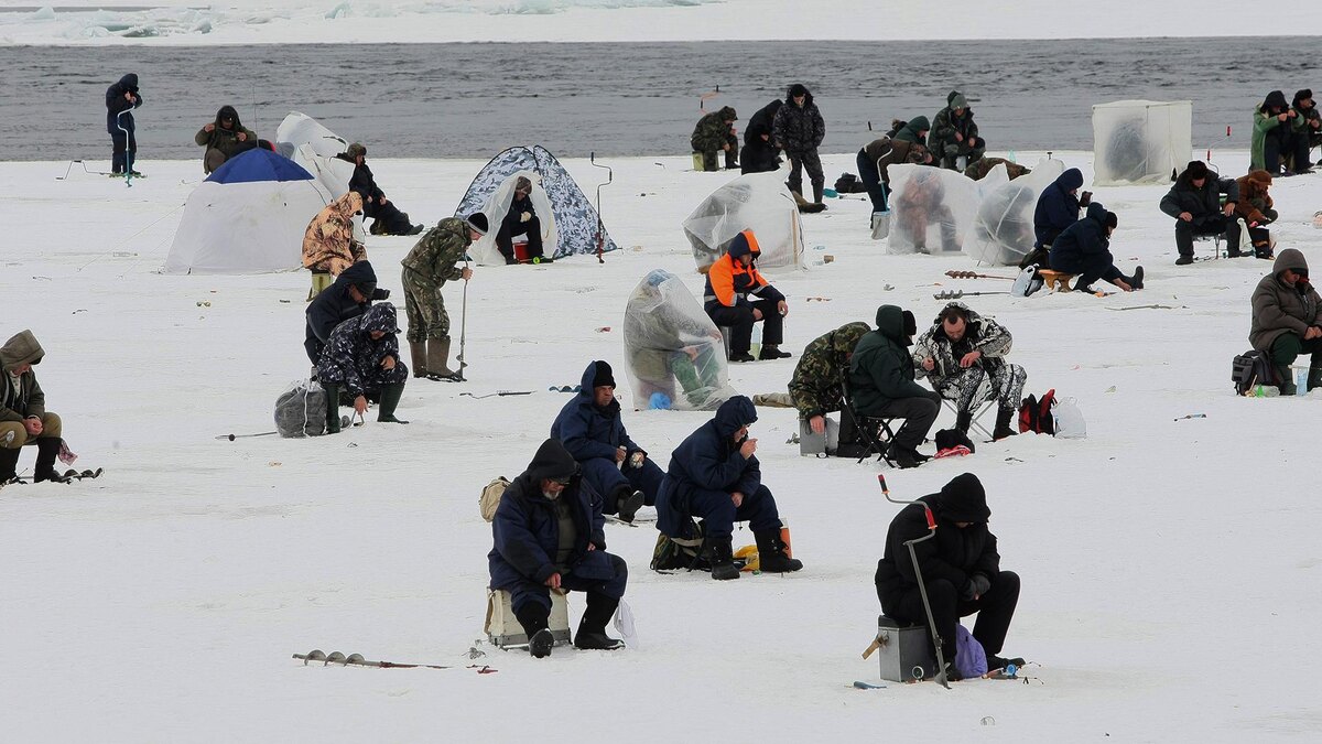    Фото: Zamir Usmanov/globallookpress.com