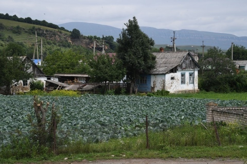    Для создания комфортных условий, которые позволят жителям ДНР оставаться в родных селах, растить детей и строить планы на будущее, выделят значительные финансовые средства Михаил ФРОЛОВ