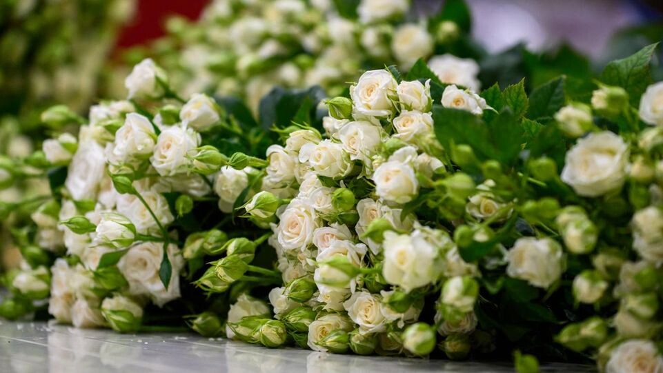    Медиасток.рф