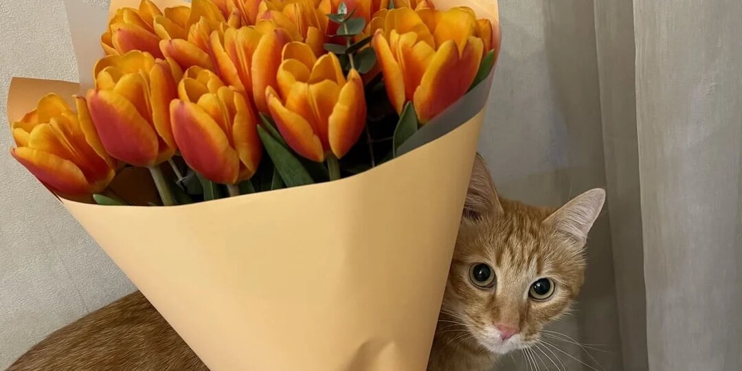 Жителей Башкирии ждут две короткие недели и длинные выходные