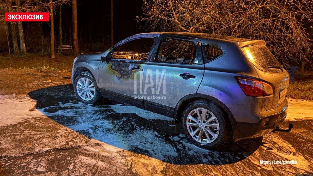 Фото здесь и далее: Telegram-канал «Псковская сводка. ПАИ»