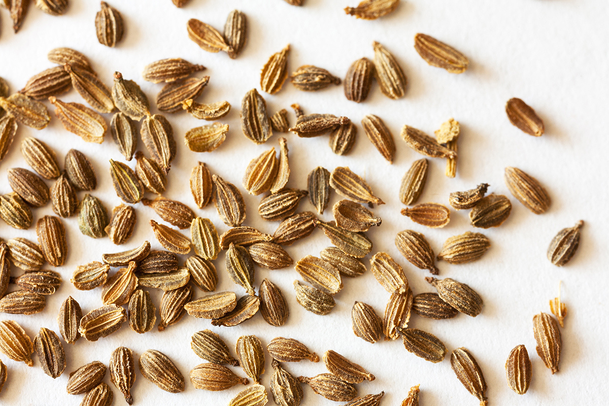 Katvic / Shutterstock / FOTODOM📷Семена не контактируют с почвой напрямую; для прорастания им придется преодолеть слой бумаги и клейстера