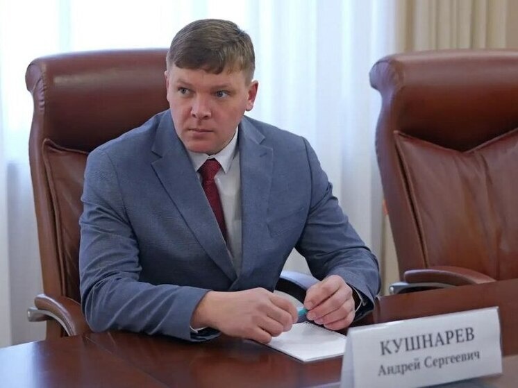     Фото: тг-канал Романа Бусаргина