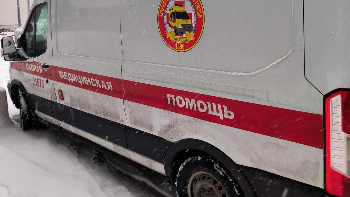    Фото: Maksim Konstantinov/globallookpress.com