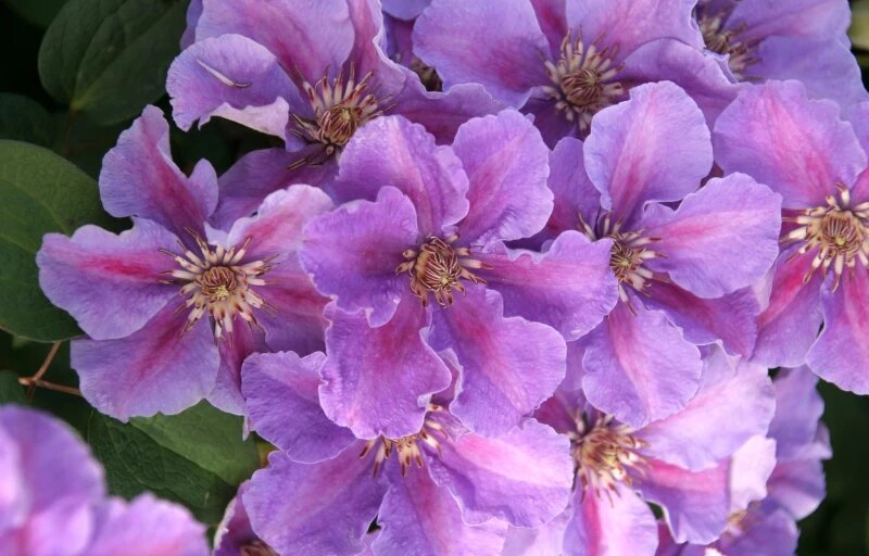 Фото из интернета