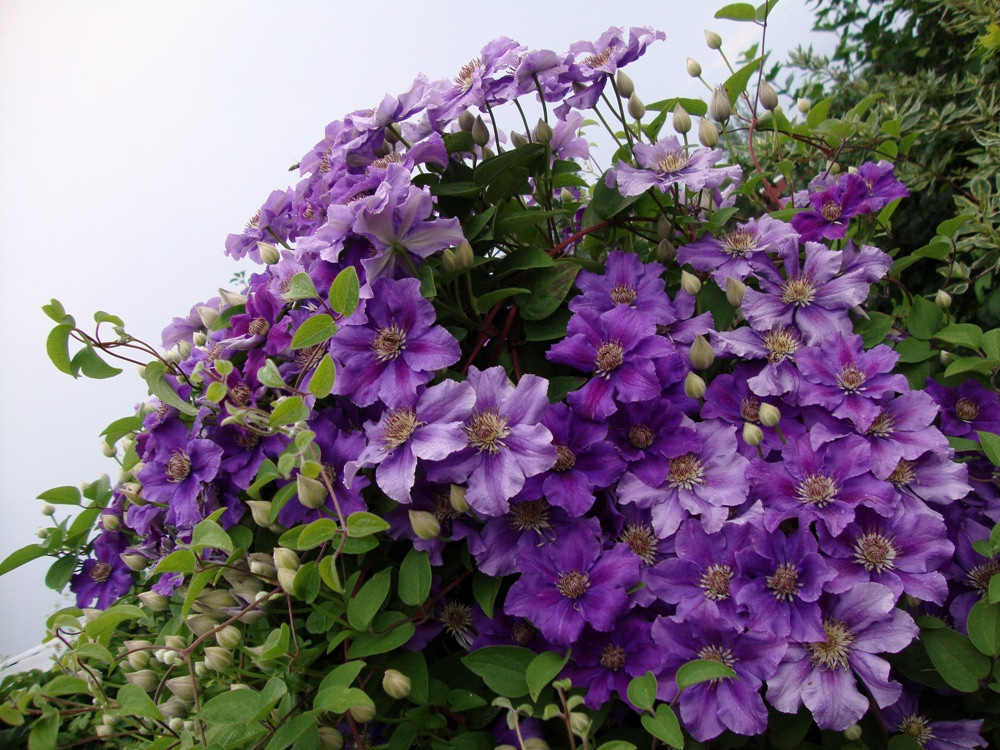 Фото из интернета