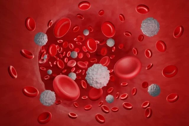    Опасно ли повышение уровня лейкоцитов в крови?