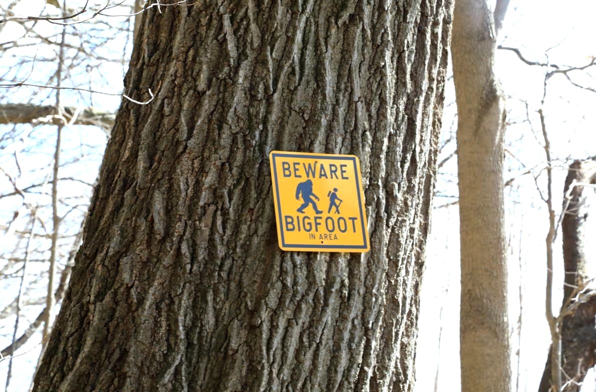 Эксперты по паранормальным явлениям предупреждают, что подобные случаи могут происходить чаще(Изображение: Getty Images)