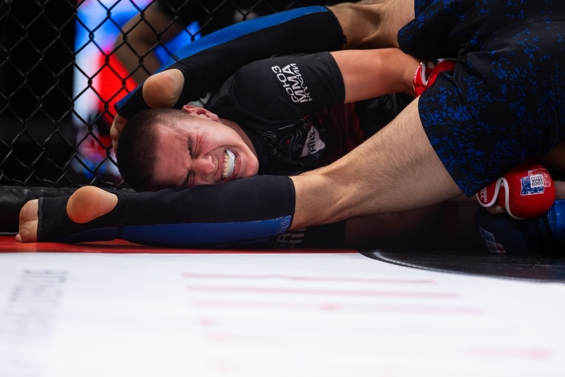     Фото: Тульская «Федерация смешанного боевого единоборства (ММА)