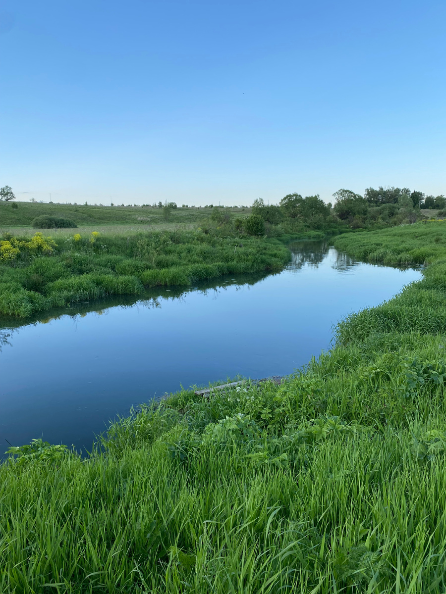 Река жуть какая холодная