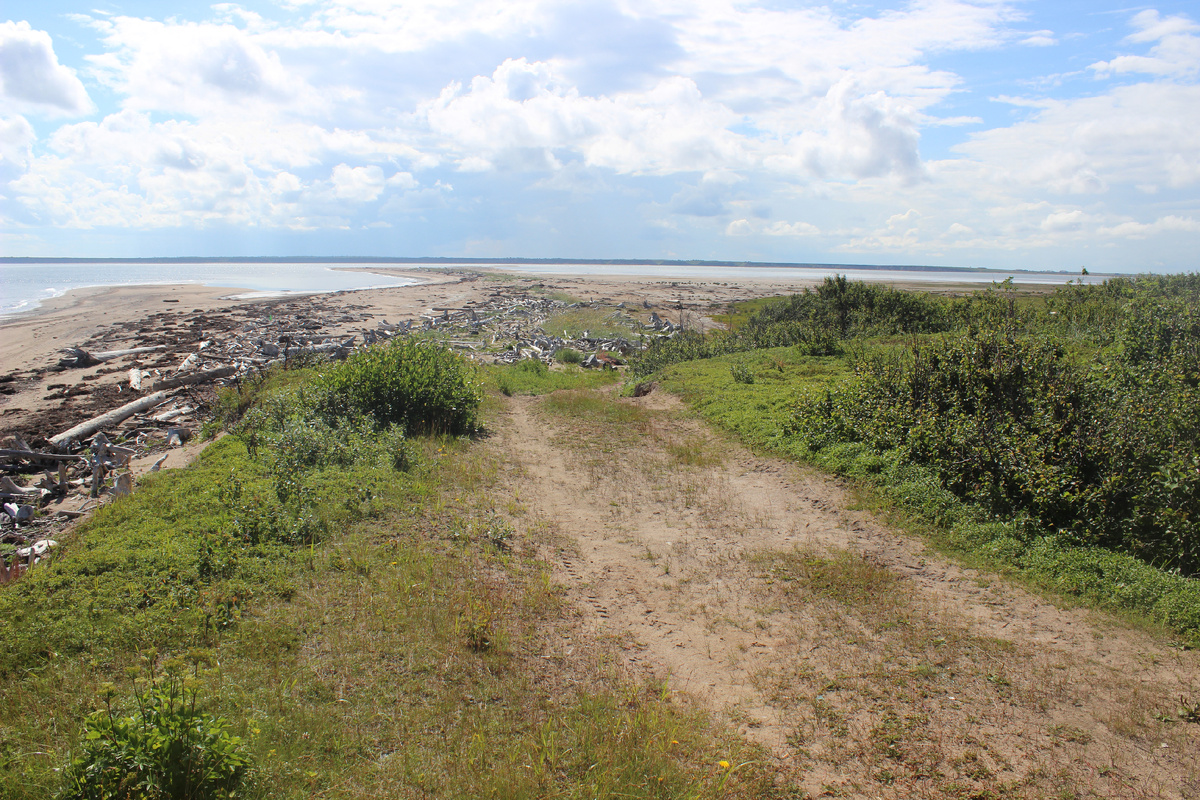 Последний взгляд в сторону Койды