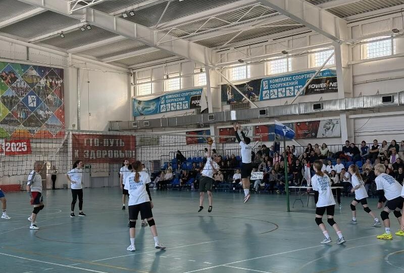 В Волжском прошел волейбольный турнир «Кубок юриста – 2026»