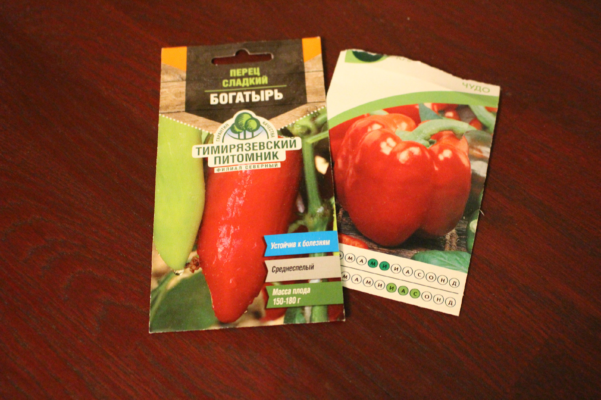 В этом году я посеяла 2 сорта: «Калифорнийское чудо» (прошлогодний) и «Богатырь» (новый)