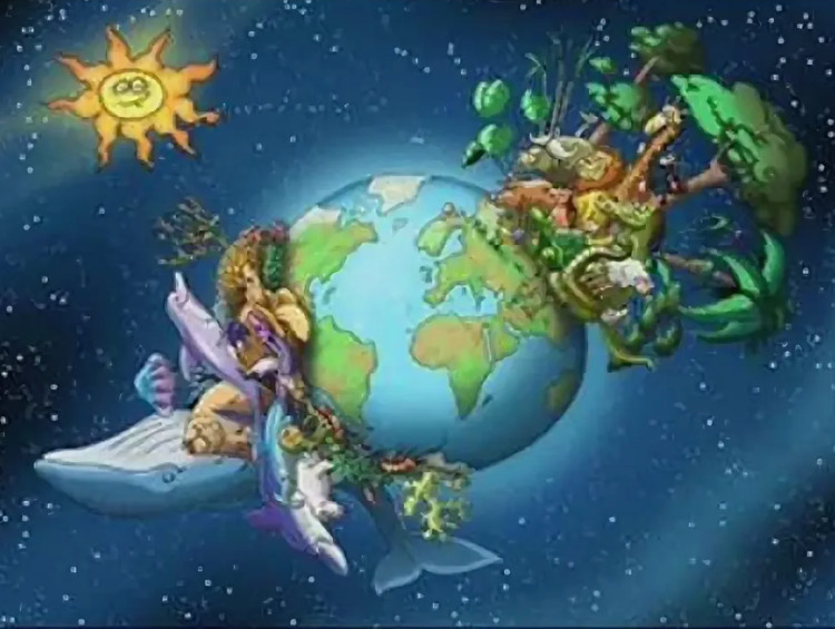 Все фото и картинки из интернета