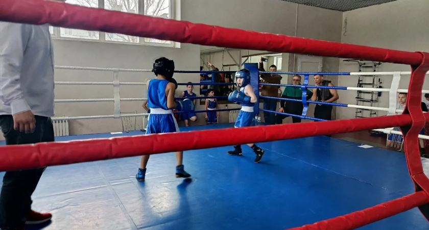    Фото: администрации городского поселения город Лиски