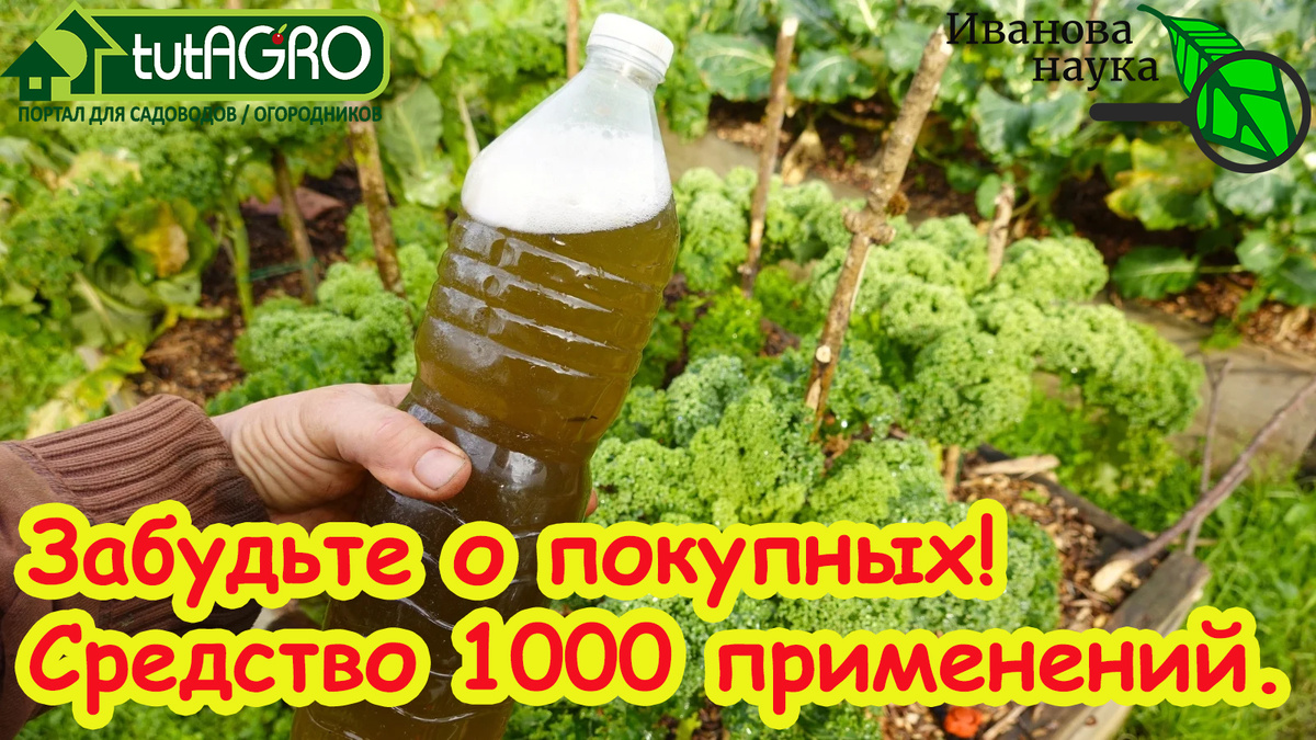 Выращивание домашних препаратов - это настоящая удача для каждого садовода и огородника!