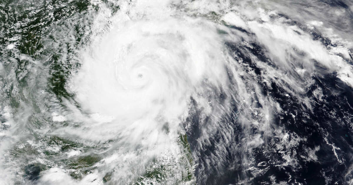 Фото: © РЕН ТВ